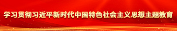 草屄屄视频学习贯彻习近平新时代中国特色社会主义思想主题教育