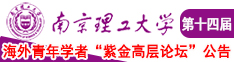 鸡巴操骚穴视频在线观看南京理工大学第十四届海外青年学者紫金论坛诚邀海内外英才！